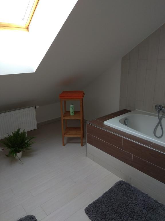 Apartmany Pod Lesem Bohutín Dış mekan fotoğraf