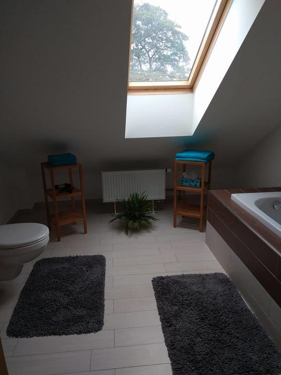 Apartmany Pod Lesem Bohutín Dış mekan fotoğraf